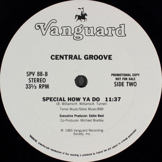 Central Groove : Special How Ya Do (12", Promo)