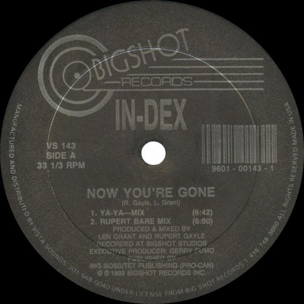 In-Dex : Now You're Gone (12")