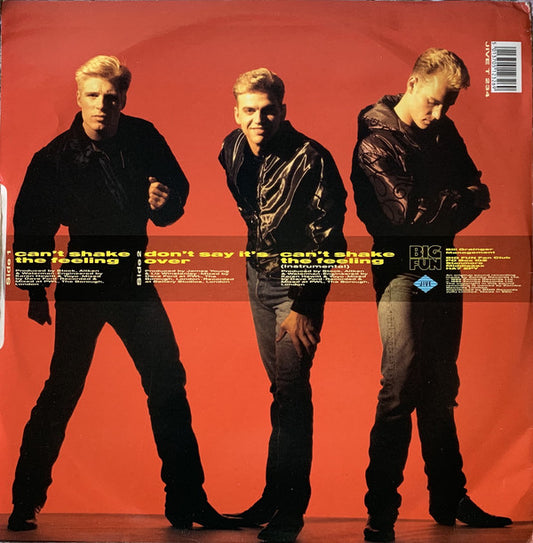 Big Fun : Can't Shake The Feeling (12", Pos)