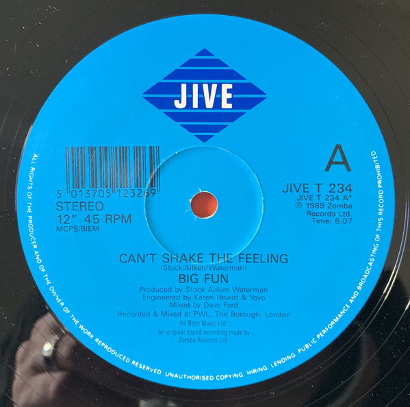Big Fun : Can't Shake The Feeling (12", Pos)