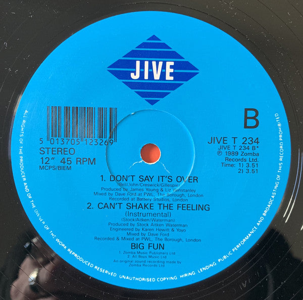 Big Fun : Can't Shake The Feeling (12", Pos)