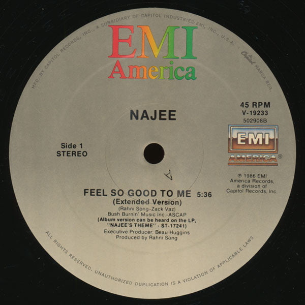 Najee : Feel So Good To Me (12")