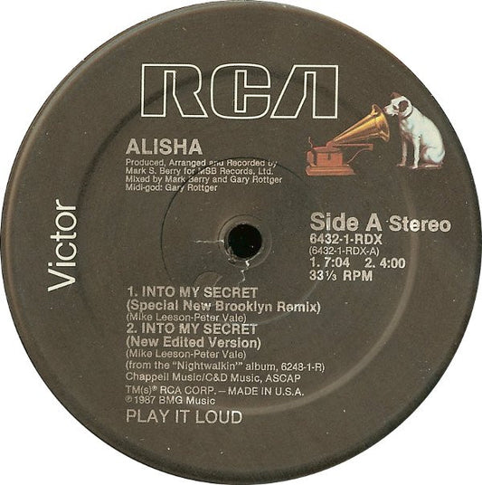 Alisha : Into My Secret (Remix) (12")