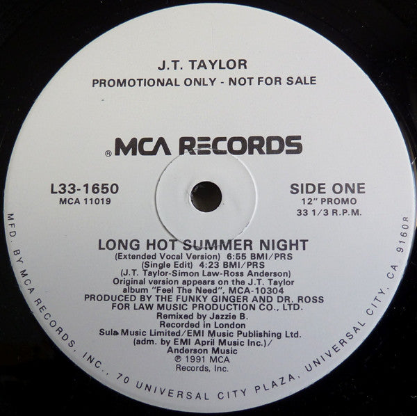 J.T. Taylor : Long Hot Summer Night (12", Single, Promo)
