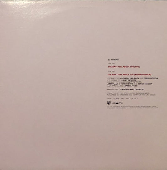 Karyn White : The Way I Feel About You (12", Promo)