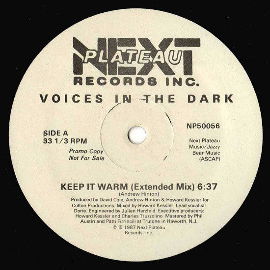 Voices In The Dark : Keep It Warm (12", Promo)