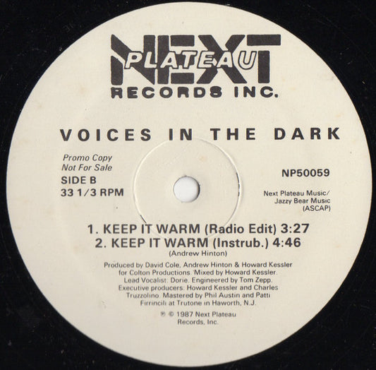Voices In The Dark : Keep It Warm (12", Promo)