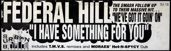 Federal Hill : I Have Something For You (12", Maxi)