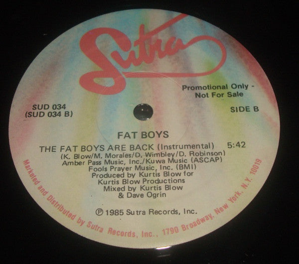 Fat Boys : The Fat Boys Are Back (12", Promo)