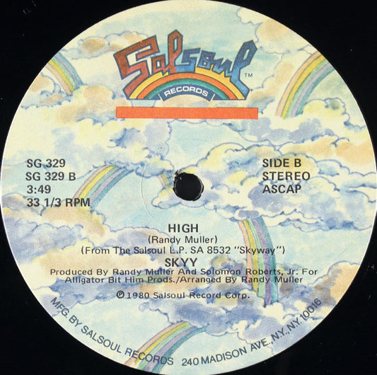 Skyy : Skyyzoo (12", Single, RCA)