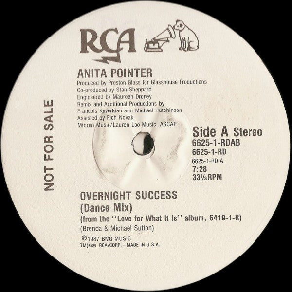 Anita Pointer : Overnight Success (12", Promo)