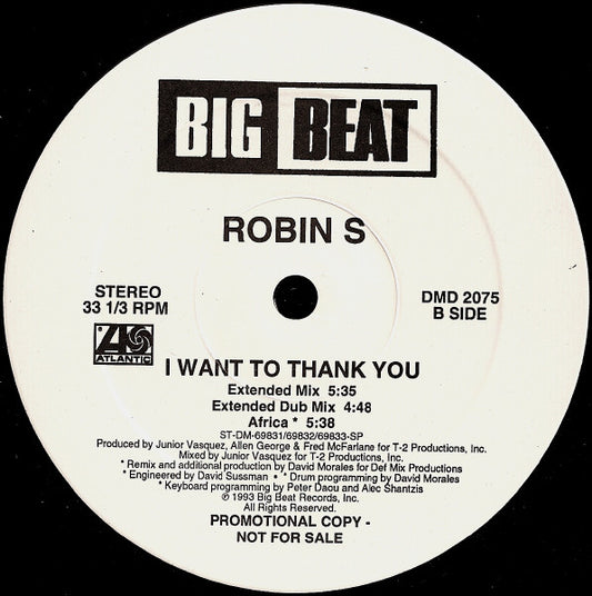 Robin S* : I Want To Thank You (12", Promo)