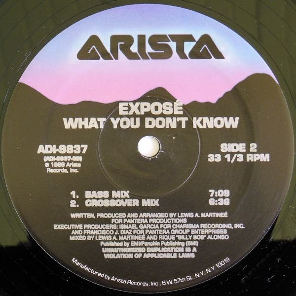 Exposé : What You Don't Know (12", Single)