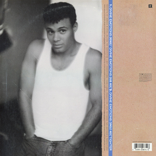 Narada Michael Walden : Divine Emotions (12", Maxi)
