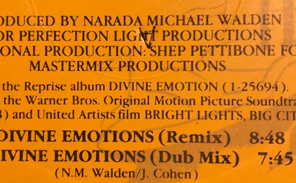 Narada Michael Walden : Divine Emotions (12", Maxi)