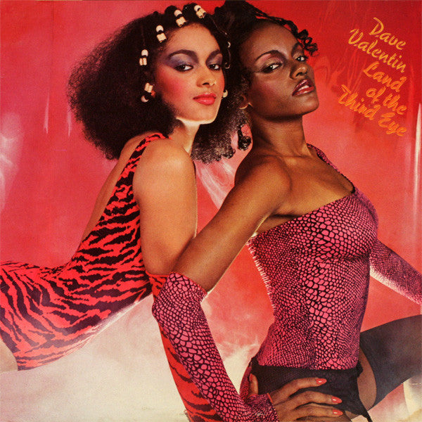 Dave Valentin : Land Of The Third Eye (LP, Album, Hub)