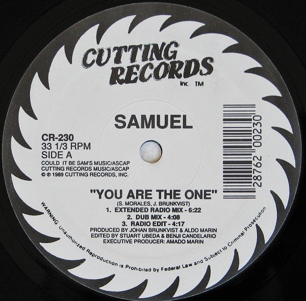 Samuel* : You Are The One (12")