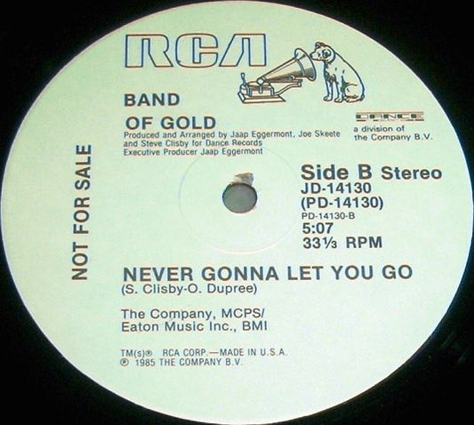 Band Of Gold : This Is Our Time (12", Promo)