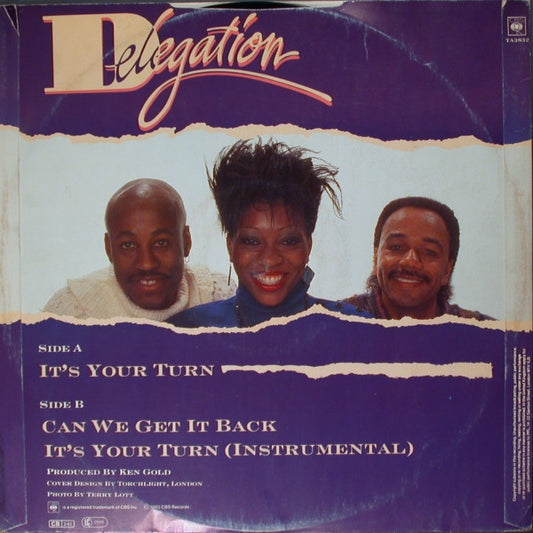 Delegation : It's Your Turn (12")