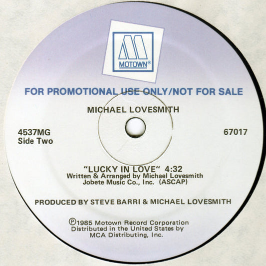 Michael Lovesmith : Break The Ice (12", Promo)
