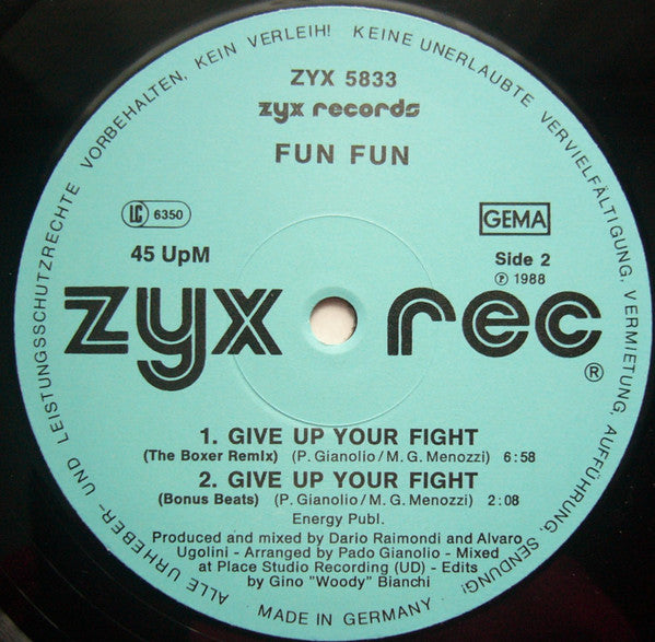 Fun Fun : Mega Hit Mix (12", P/Mixed)