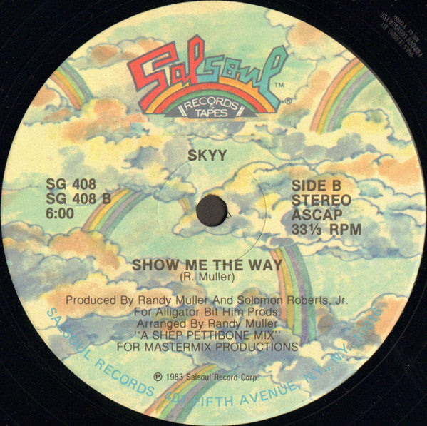 Skyy : Show Me The Way (12", Single)