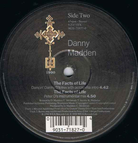 Danny Madden : The Facts Of Life (Presenting The Remix) (12")
