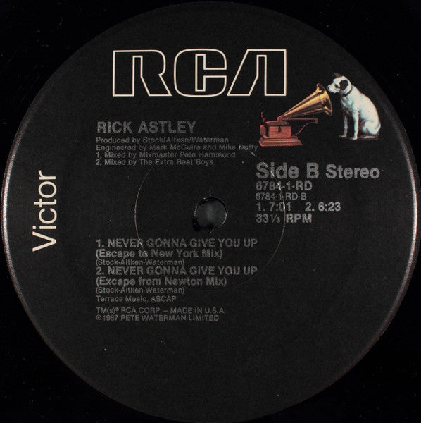 Rick Astley : Never Gonna Give You Up (12", Single, Hau)