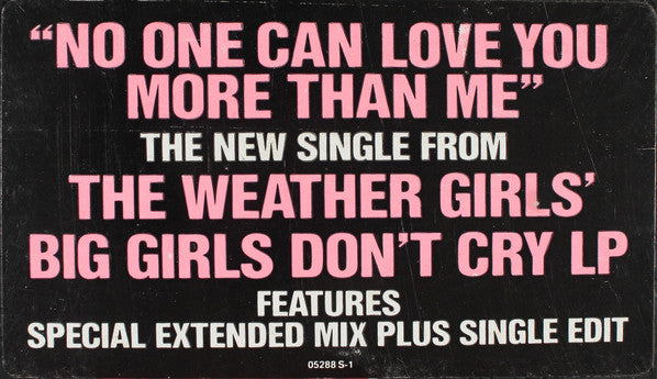 The Weather Girls : No One Can Love You More Than Me (12", Single)