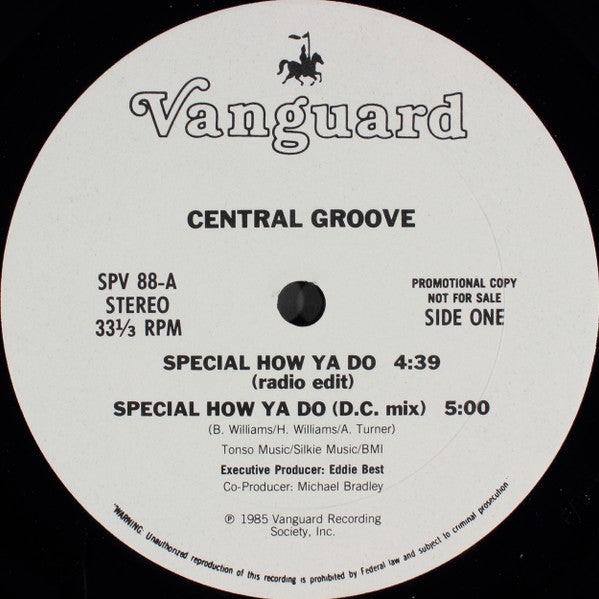Central Groove : Special How Ya Do (12", Promo)