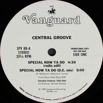 Central Groove : Special How Ya Do (12", Promo)