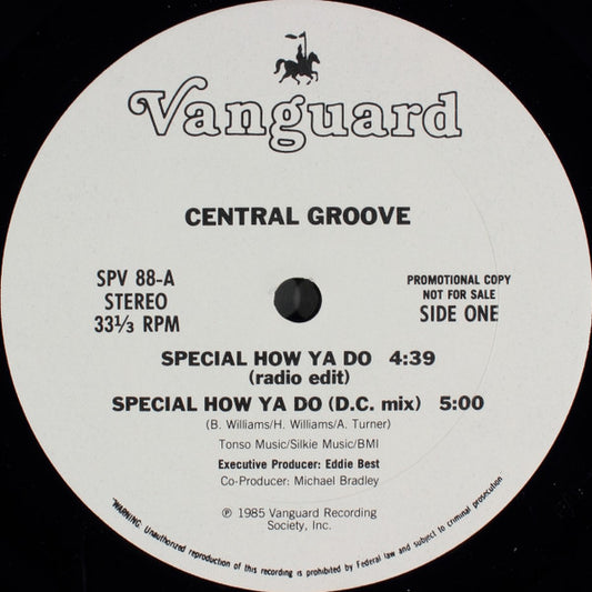 Central Groove : Special How Ya Do (12", Promo)