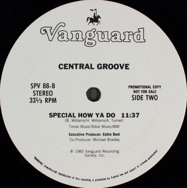 Central Groove : Special How Ya Do (12", Promo)