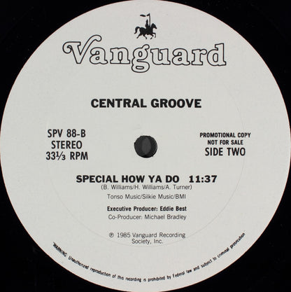 Central Groove : Special How Ya Do (12", Promo)