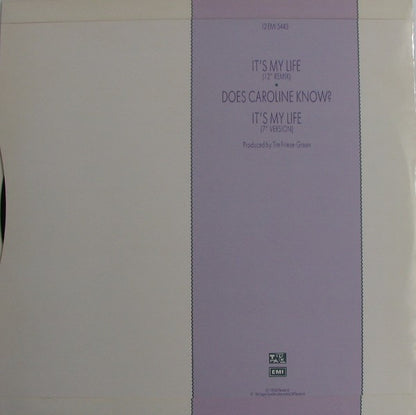 Talk Talk : It's My Life (12", Single)