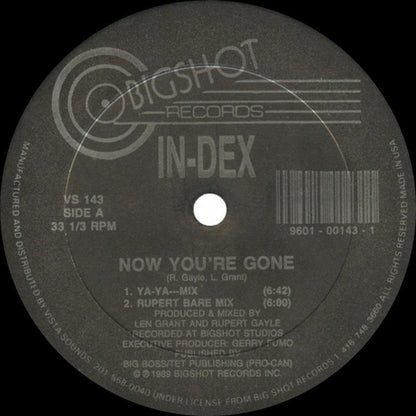 In-Dex : Now You're Gone (12")