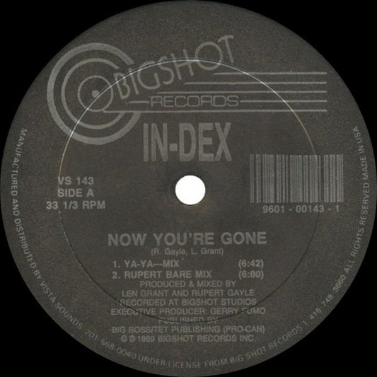 In-Dex : Now You're Gone (12")