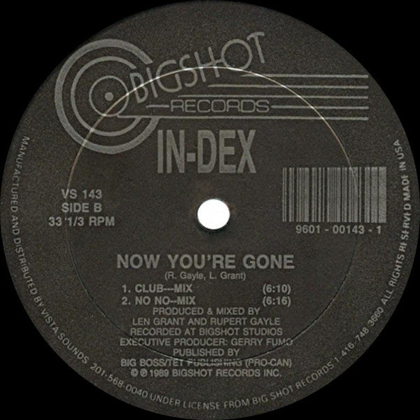 In-Dex : Now You're Gone (12")