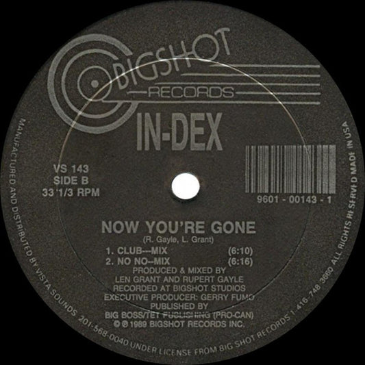 In-Dex : Now You're Gone (12")