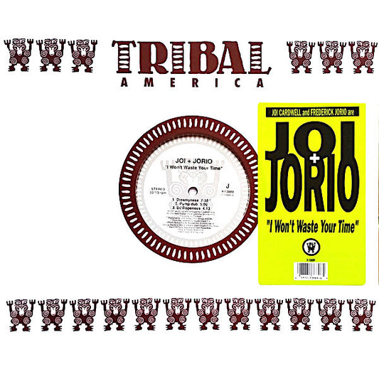 Joi + Jorio : I Won't Waste Your Time (12")