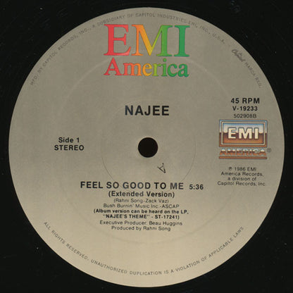 Najee : Feel So Good To Me (12")