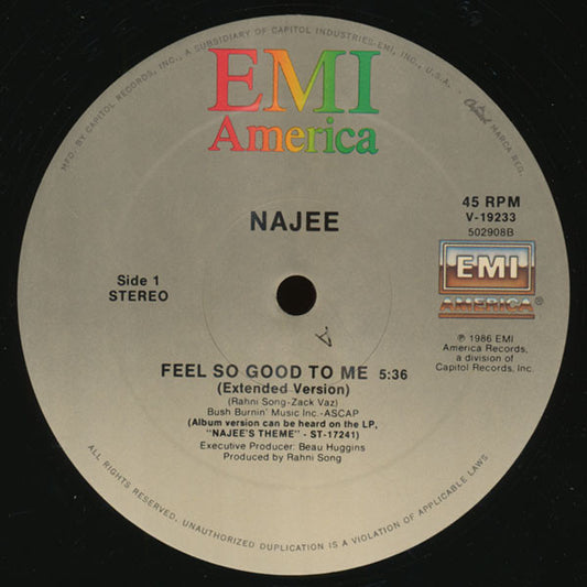 Najee : Feel So Good To Me (12")