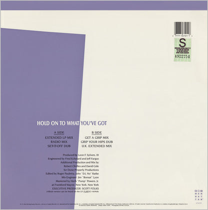 Evelyn King : Hold On To What You've Got (12", Single)