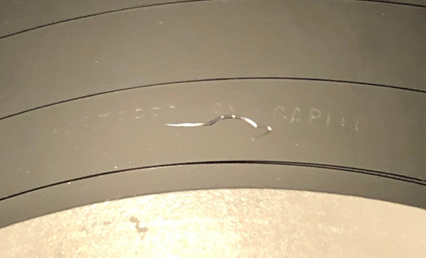 Louie Louie (2) : The Girl Who Seduced The World (12")