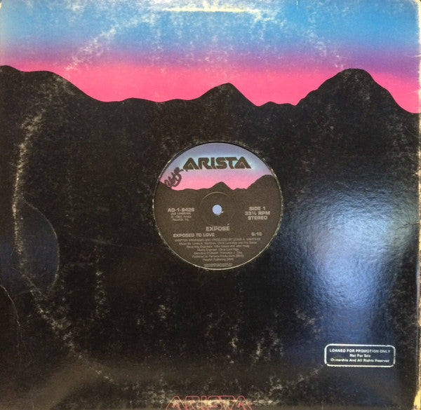 Exposé : Exposed To Love (12", Promo)