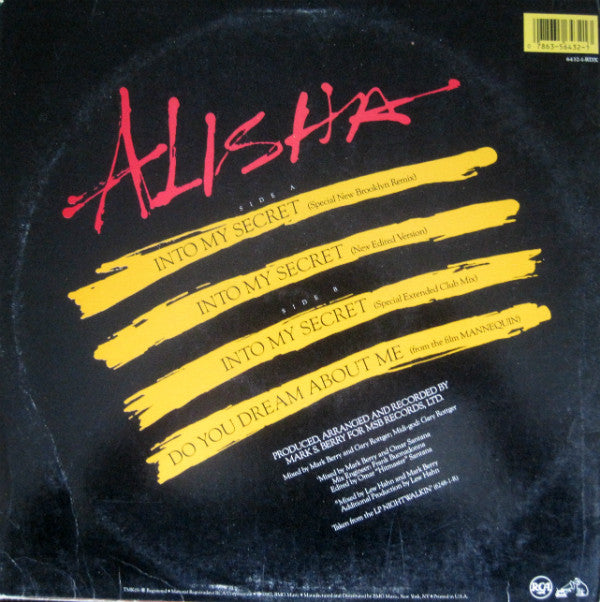 Alisha : Into My Secret (Remix) (12")