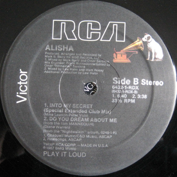 Alisha : Into My Secret (Remix) (12")