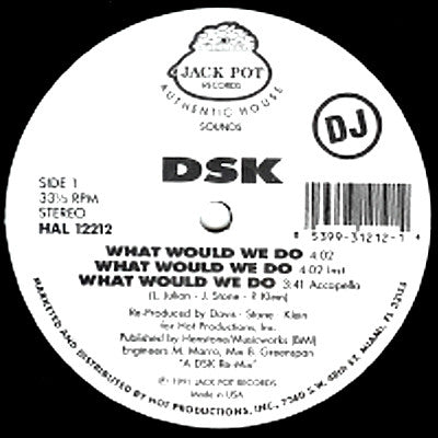 DSK : What Would We Do / Read My Lips (12", Promo)
