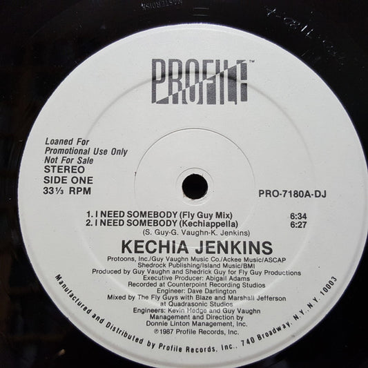 Kechia Jenkins : I Need Somebody (12", Promo)