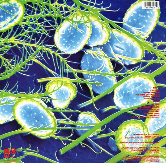 The Soup Dragons : I'm Free (12", Single)